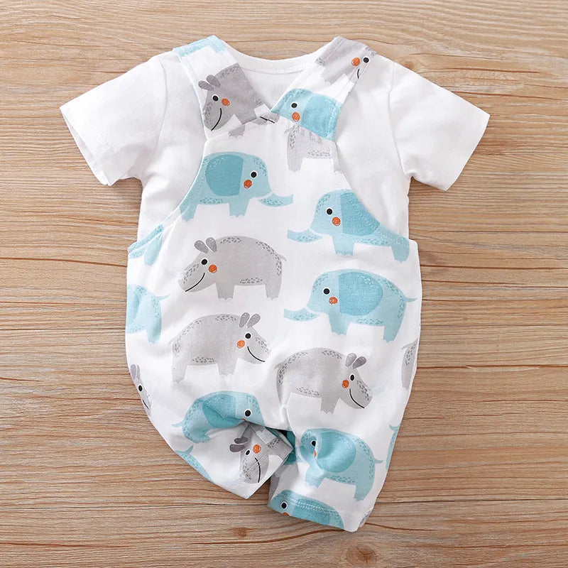 Two-Piece Newborn Summer Outfit